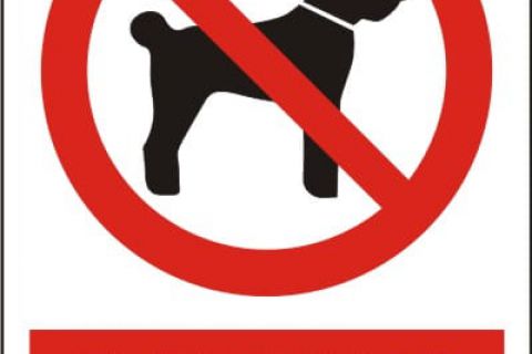 <p>Na terenie Parku obowiązuje całkowity zakaz wprowadzania psów, oraz picia alkoholu.</p>